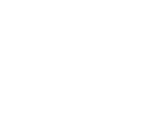 AlgonquinNatureAdventures_LogoFinal_White