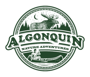 AlgonquinNatureAdventures_LogoFinal_Green