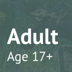 Adult